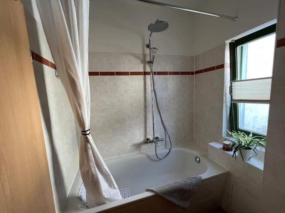 Traumwohnung Am Altstadt Hafen شترالسوند المظهر الخارجي الصورة